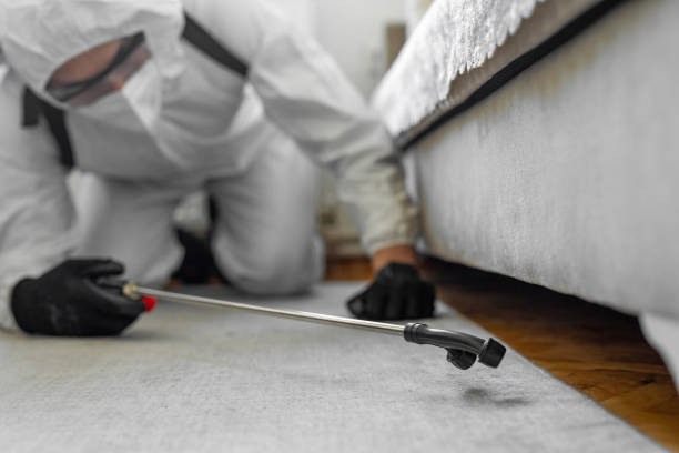 Professional Pest Control technician working in Boyd, TX